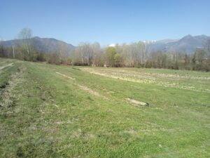 Terreno agricolo in vendita in Buttigliera Alta